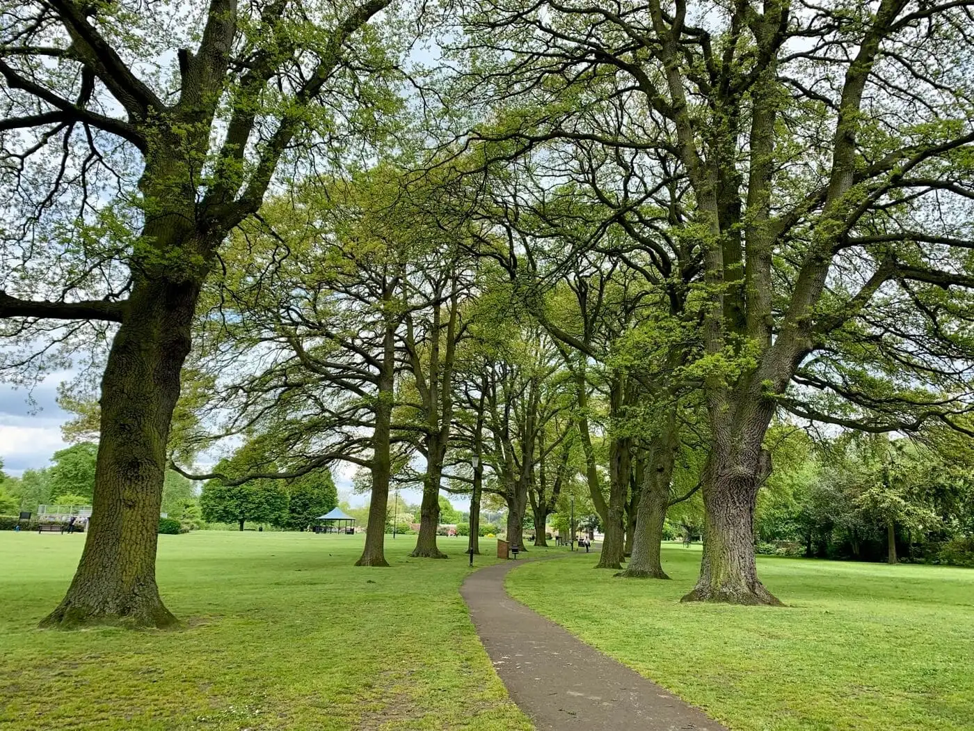 A tree-lined path through Abbey Park, Pershore